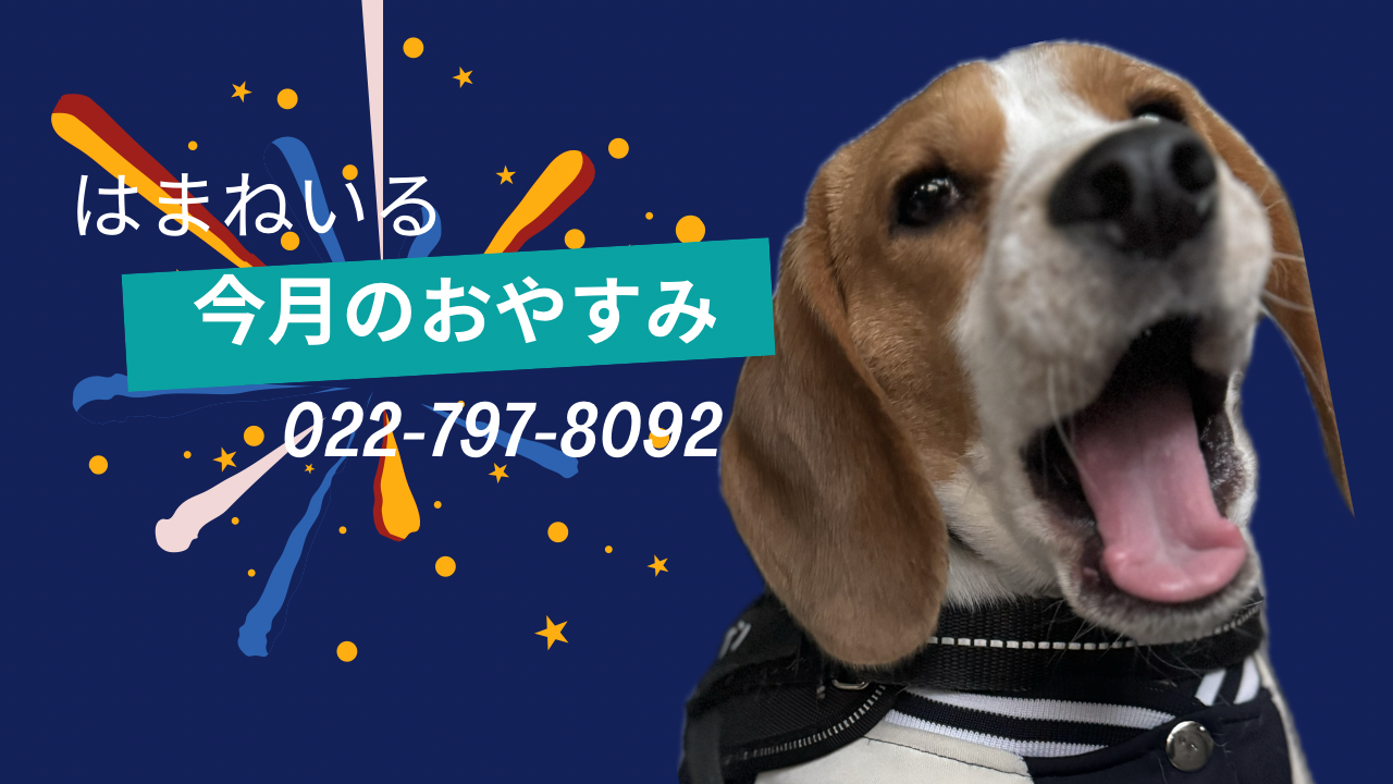 6月のおやすみ