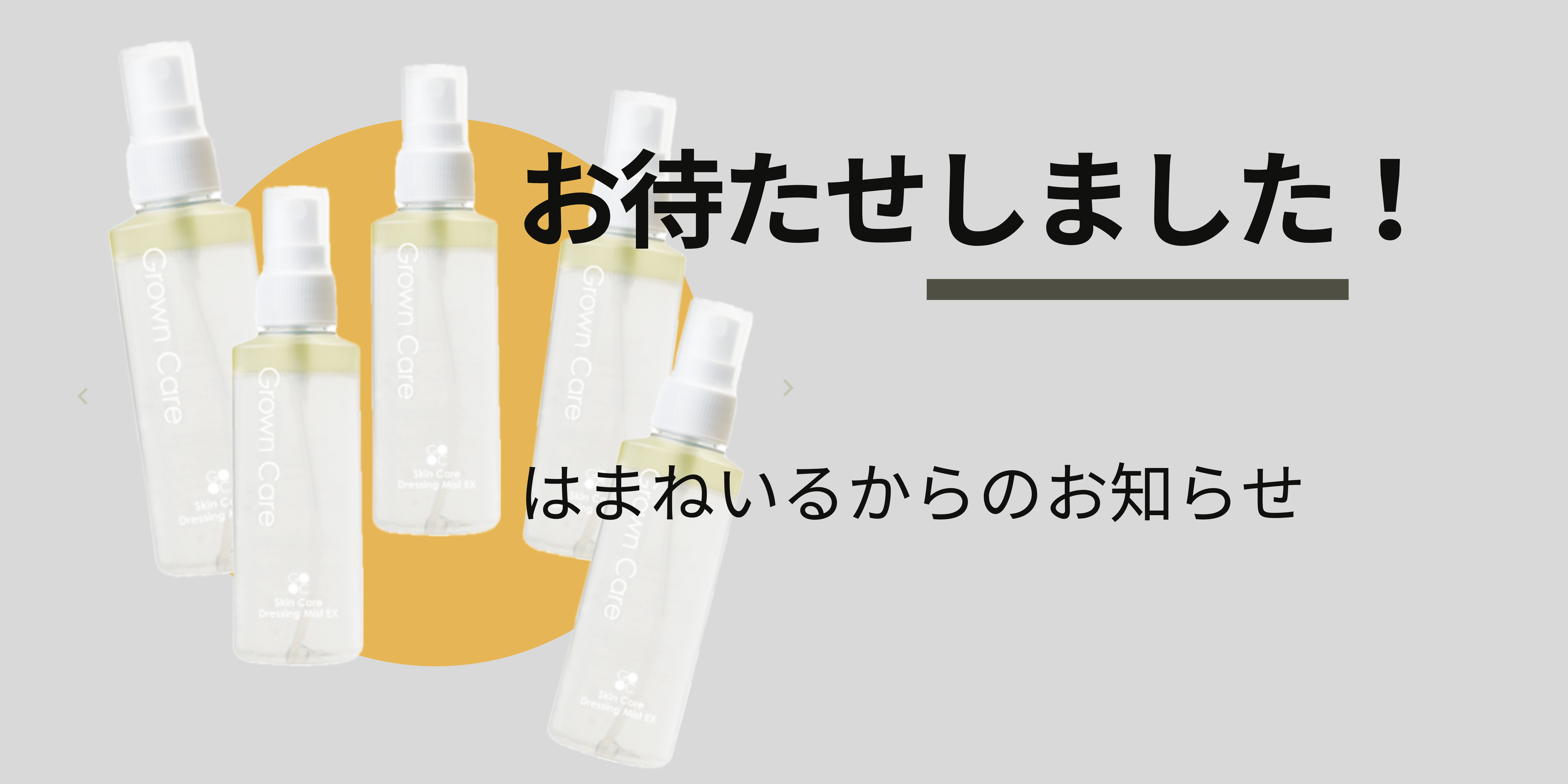ドレッシングミスト入荷しました