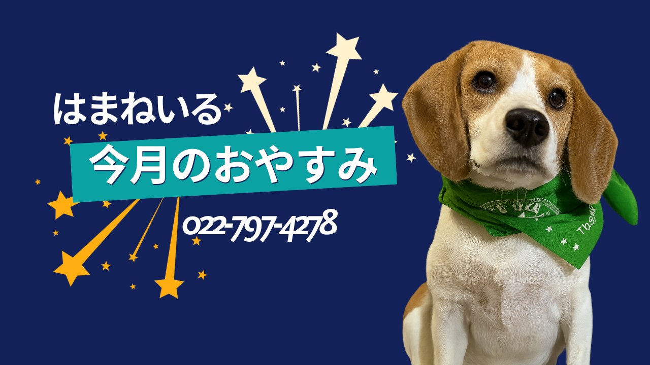 6月のおやすみ