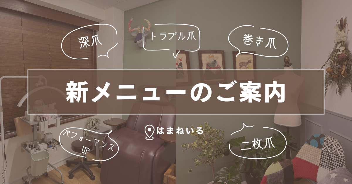 新メニューのご案内