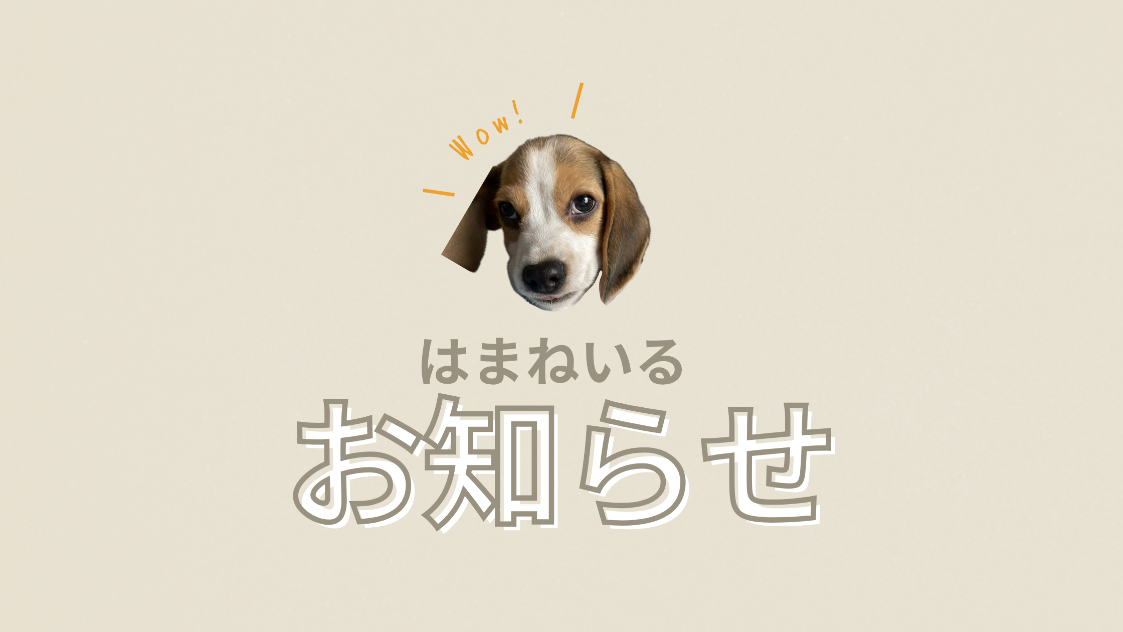【期間限定】足裏つるん♪