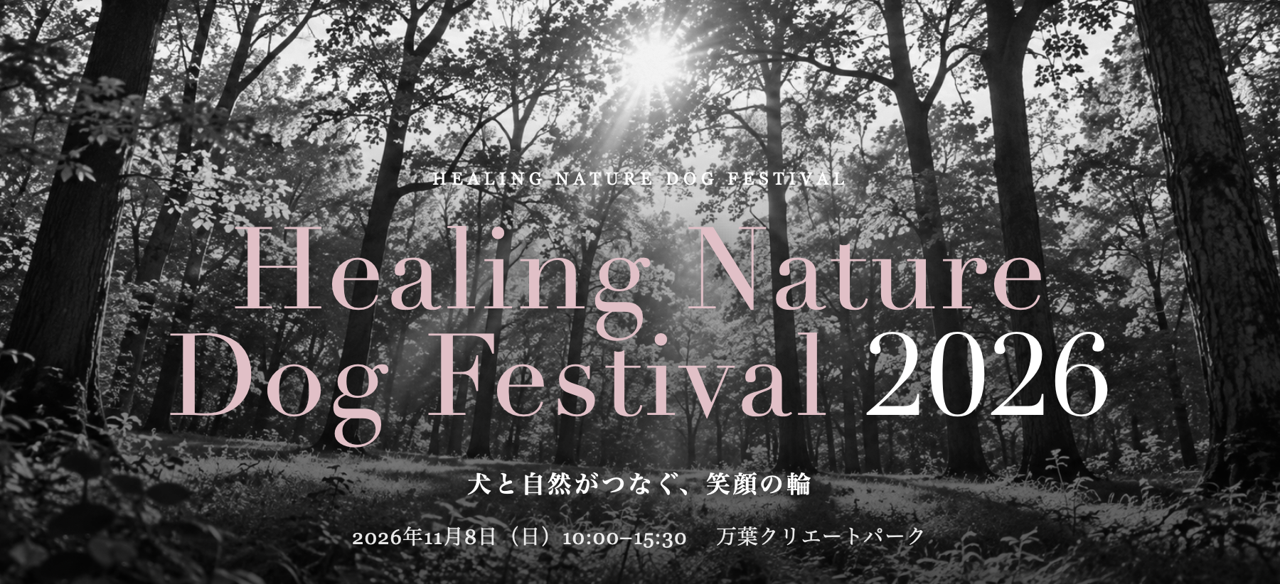 Healing Nature Dog Festival